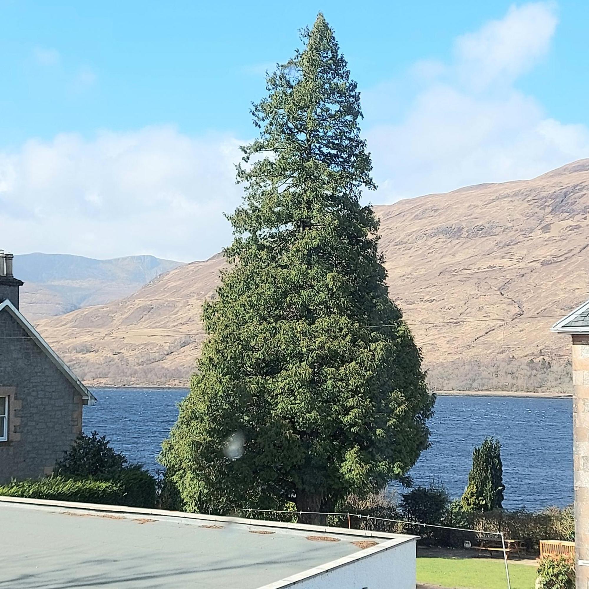 Burnside Cottage Fort William Exteriör bild